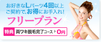 Lパーツ脱毛フリープラン
