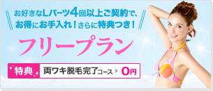 Lパーツ脱毛フリープラン