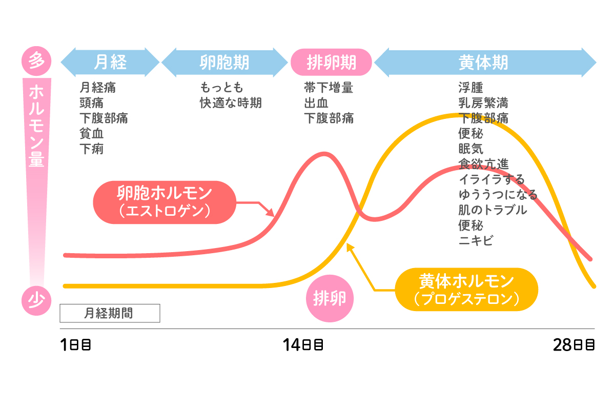 女医監修 イライラや肌荒れなど生理の悩みを解決 知っておきたいpmsのこと Mismos ミスモス