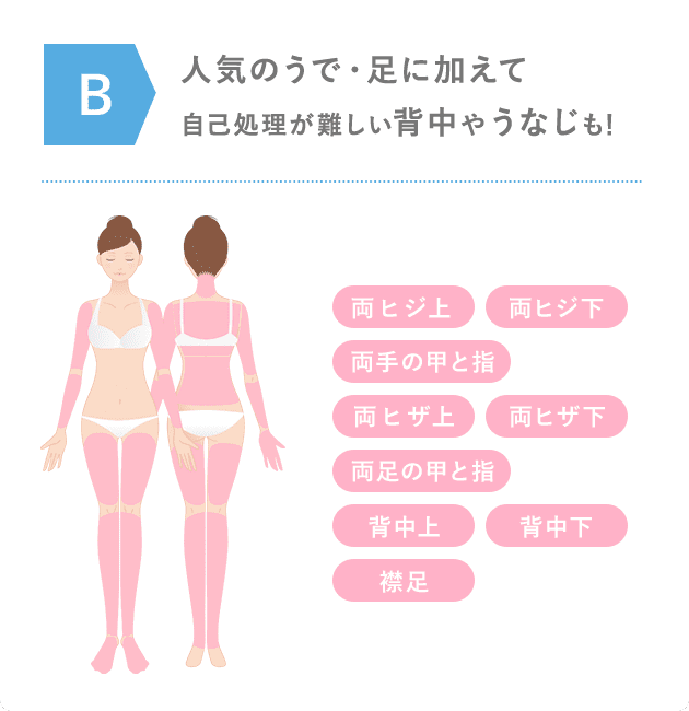 Bコース