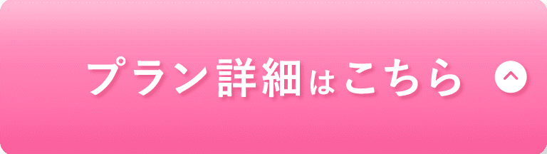 プラン詳細はこちら