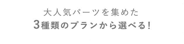 大人気パーツを集めた3種類のプランから選べる!