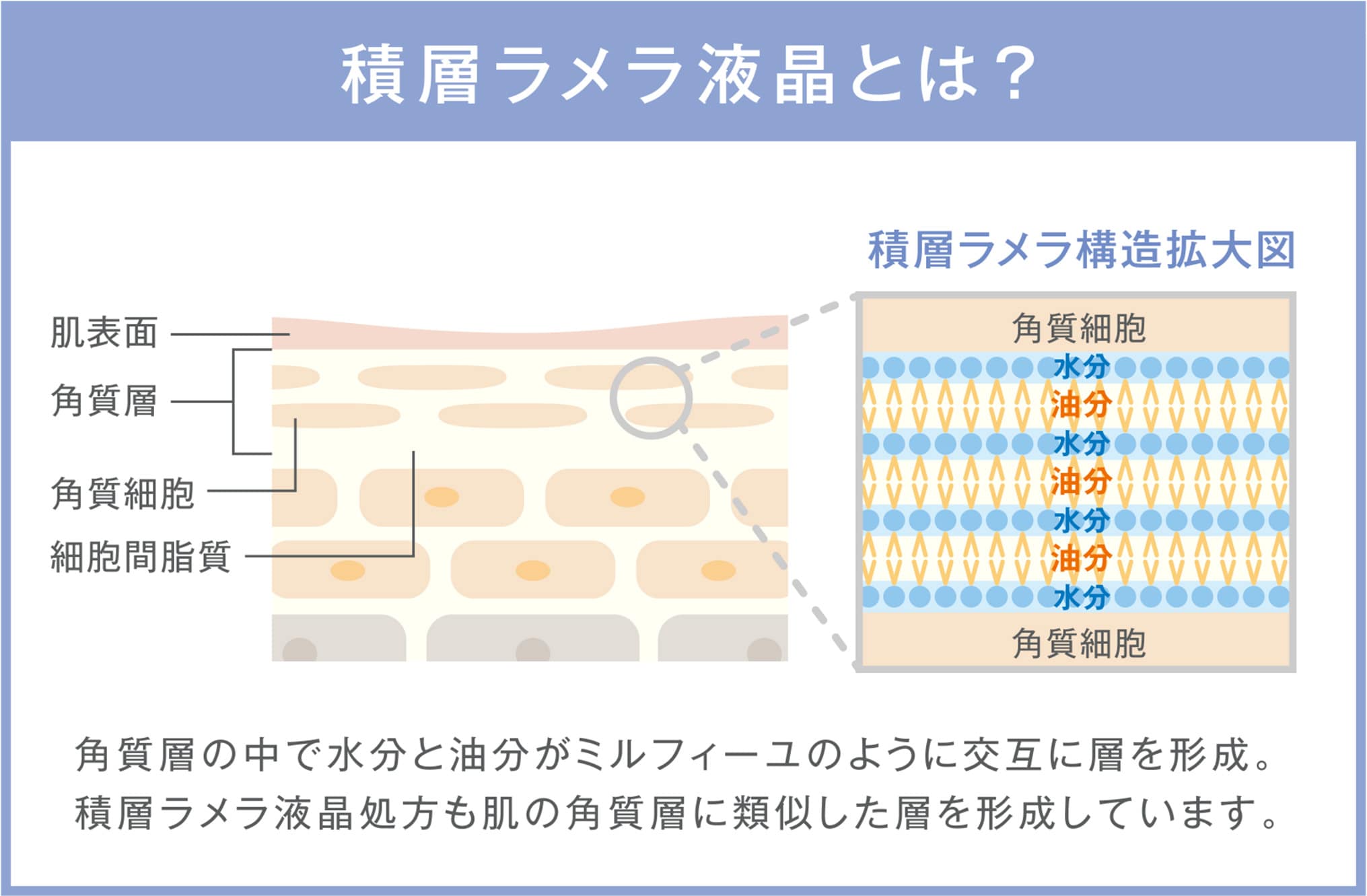 ミュゼコスメ-コンテンツ-季節のオススメ商品(シートマスク) 2023.08