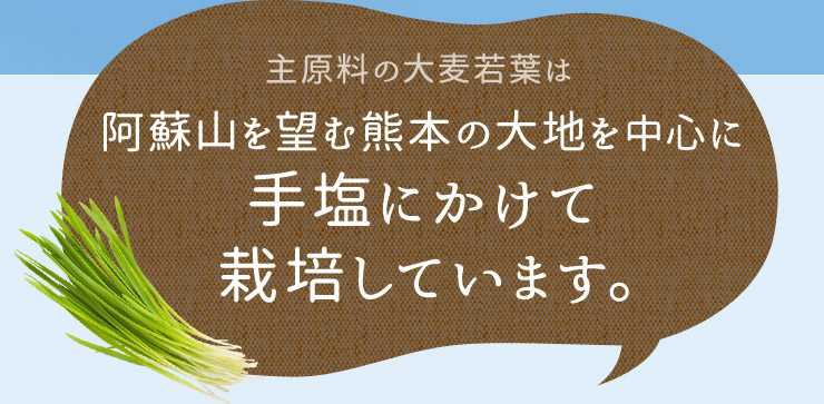 主原料の大麦若葉は、阿蘇山を望む熊本の大地を中心に、手塩にかけて栽培しています。