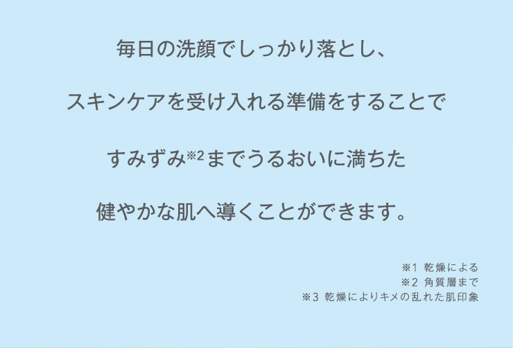 毎日の洗顔でしっかり落とし、スキンケアを受け入れる準備をすることで、すみずみまで潤いに満ちた健やかな肌へ導くことができます。